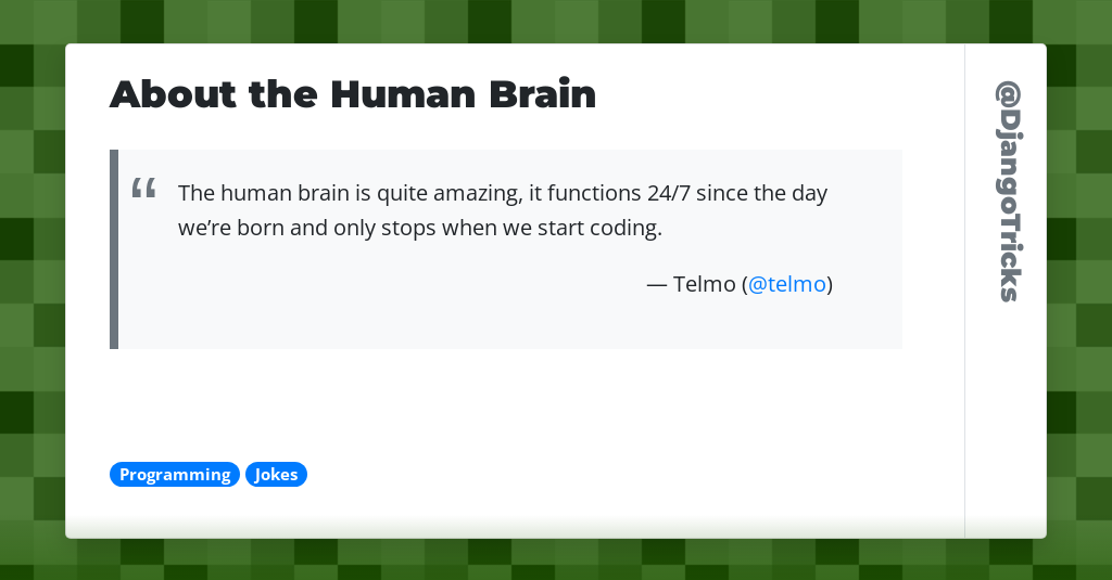 About the Human Brain
